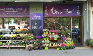 Fleuriste Idée en Fleur 0