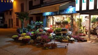 Fleuriste Fleurs des 4 Saisons 0