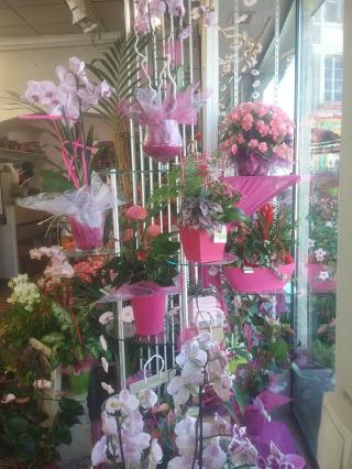 Fleuriste Cocktail Flor 1