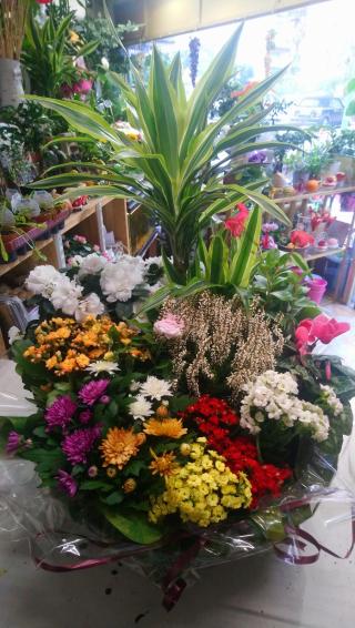 Fleuriste Au Lilas GERBAUDO 0