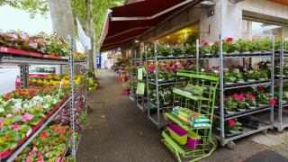 Fleuriste Heuber Et Compagnie 