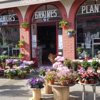 Fleuriste Amour de fleurs 0