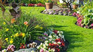 Fleuriste LES JARDINS DU PIFFOU 0