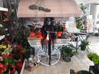 Fleuriste Sophie Fleurs Sarl 0