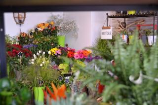 Fleuriste POPPY Fleurs 0