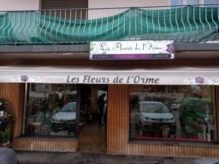 Fleuriste Les Fleurs de l'Orme 0