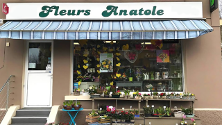 Fleuriste FLEURS ANATOLE 0