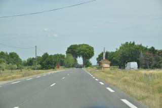 Fleuriste Les Serres du Canal à ARGELIERS 0