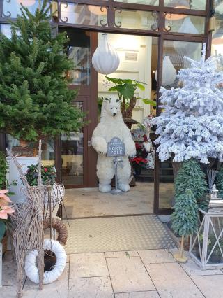 Fleuriste Roni Fleurs - Antibes 0