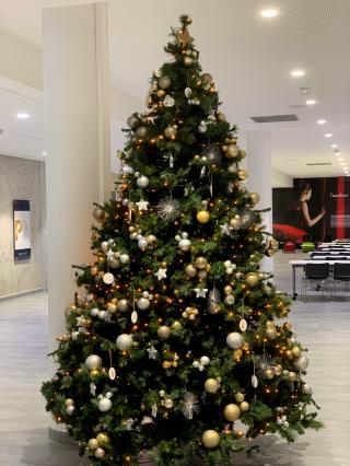 Fleuriste MAISON CELESTIN Artisan Fleuriste 2