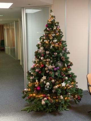 Fleuriste MAISON CELESTIN Artisan Fleuriste 0