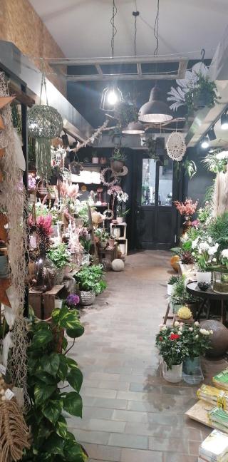 Fleuriste Artisan Fleuriste 