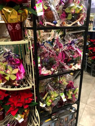 Fleuriste La Clef des Champs 0