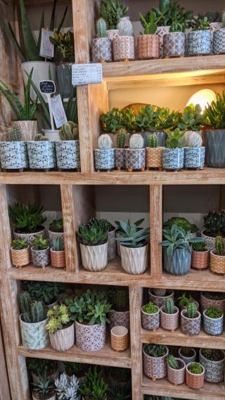 Fleuriste Antana Fleuriste SARL 0