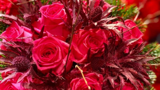 Fleuriste Art et Fleurs 0