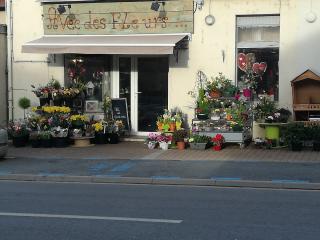 Fleuriste Avec Des Fleurs... 0