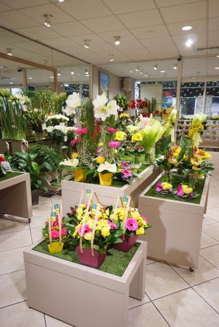 Fleuriste Le Jardin des Fleurs 0