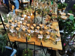 Fleuriste Les Compagnons des Saisons 1