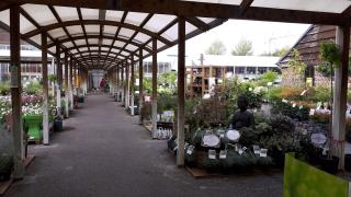 Fleuriste Les Compagnons des Saisons 0