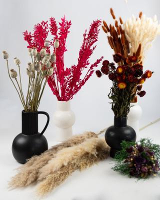 Fleuriste Phocealys végétaux stabilisés et secs - preserved and dried plants 0