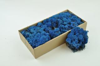 Fleuriste Phocealys végétaux stabilisés et secs - preserved and dried plants 2