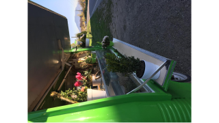 Fleuriste lis la fleur 0