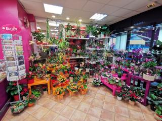 Fleuriste Monceau Fleurs 0