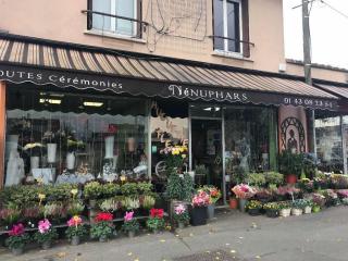 Fleuriste Nénuphars 0