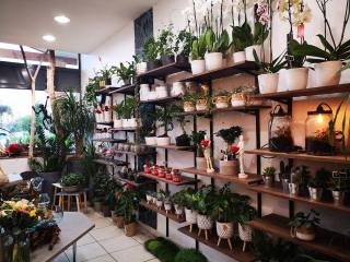 Fleuriste Les Fleurs de Diane 0