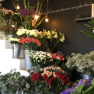 Fleuriste L'atelier Botanique - Fleuriste 0