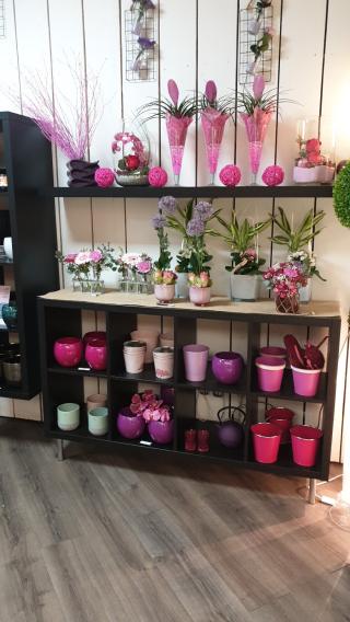 Fleuriste POMME DE PIN 0