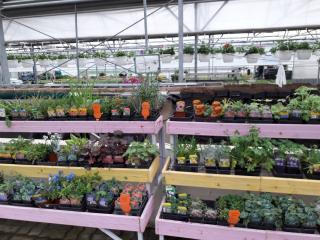 Fleuriste AU Jardin d'Olivet 0