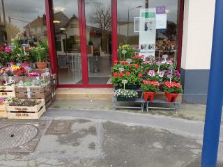 Fleuriste La Pensée Fleurs 0