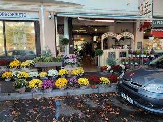 Fleuriste Terre de beauté 0
