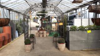 Fleuriste MINI GARDEN 0