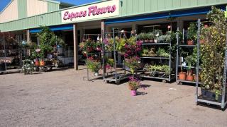 Fleuriste ESPACE FLEURS PIERRELATTE 0