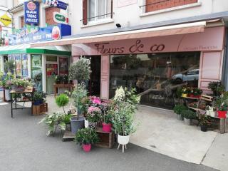 Fleuriste Fleurs & Co 0