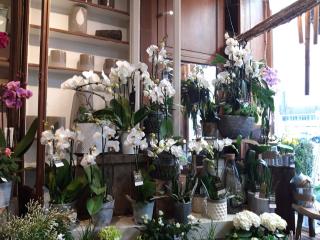 Fleuriste Seconde Nature 1