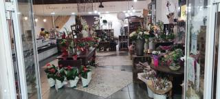 Fleuriste Jour de Roses 2