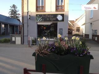 Fleuriste Au bonheur du végétal 0