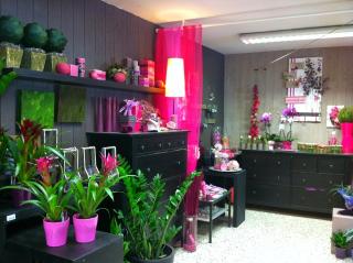 Fleuriste Amaranthe 0