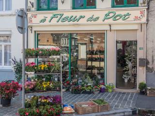 Fleuriste À Fleur de Pot 0