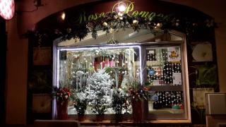 Fleuriste Rose Pompon 0