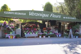 Fleuriste Véronique Fleurs 0