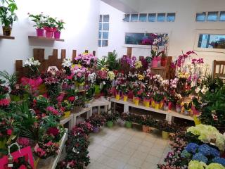 Fleuriste Les Halles aux Fleurs 0