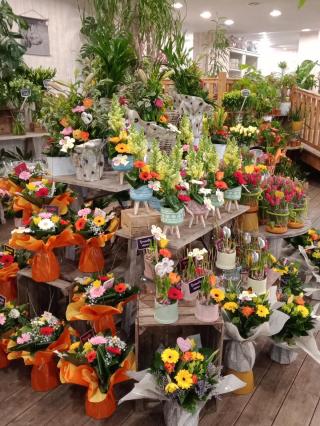 Fleuriste L'Instant Fleuri 0