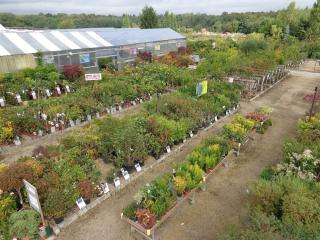 Fleuriste Les Serres de Moras 0