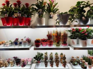 Fleuriste MONCEAU FLEURS 0