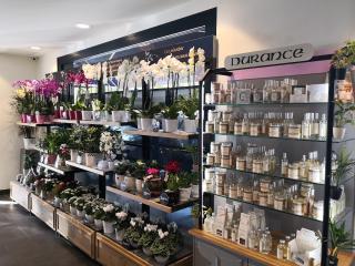 Fleuriste MONCEAU FLEURS 0