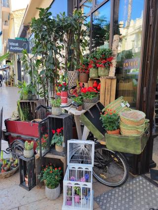 Fleuriste Roni Fleurs - Antibes 0